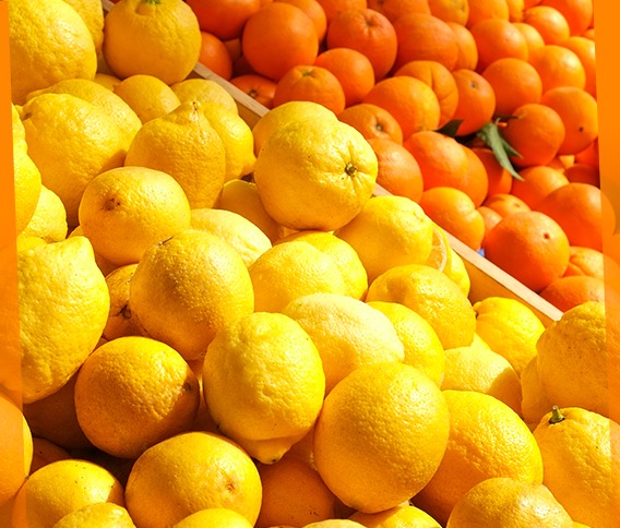 Best Citrus Fruits in Pakistan