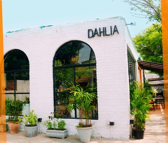Dahlia Nursery & Cafe